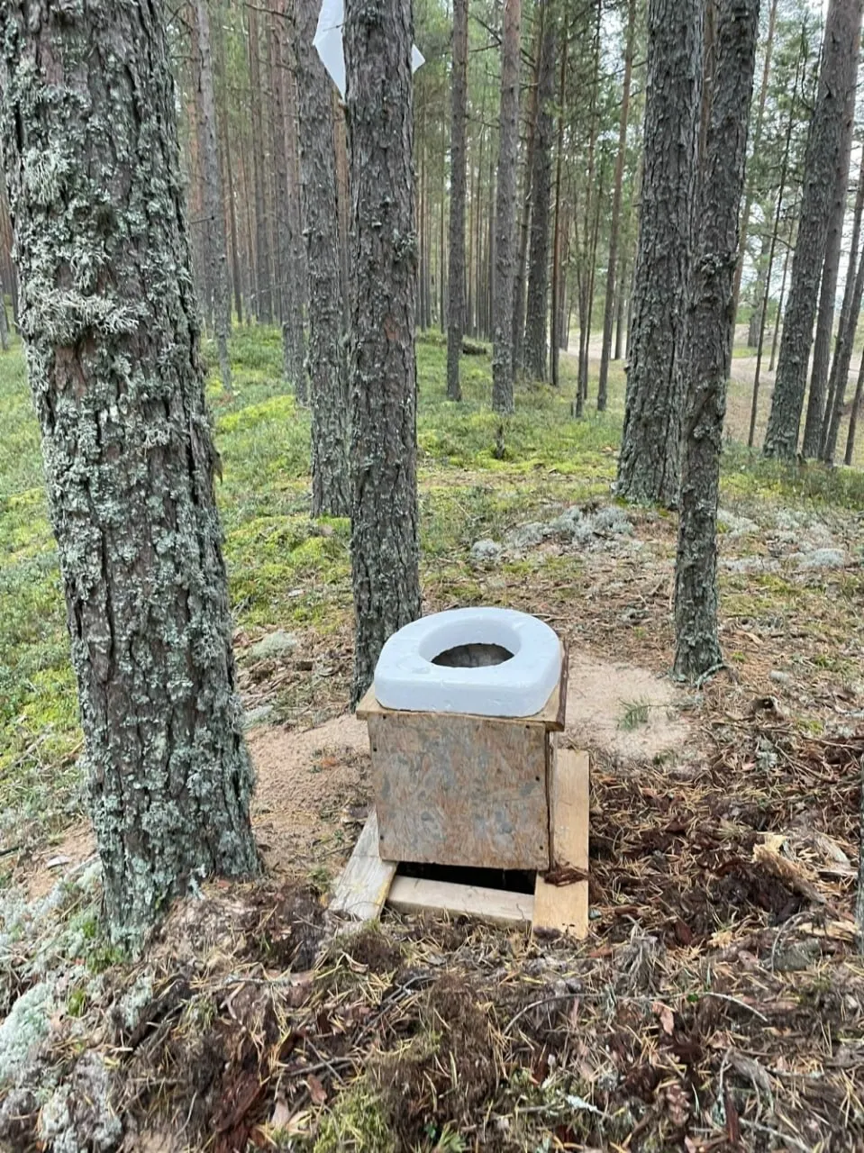 После отдыха местные жители фиксируют мусор, поваленные деревья и повреждения на побережье; проводится уборка силами местных жителей и техники.