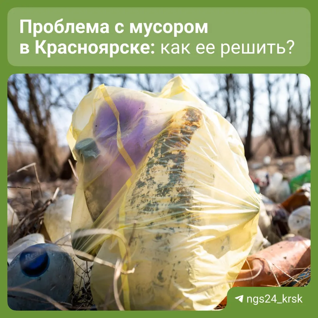Депутат от ЛДПР предложил автоматический перерасчет платы за неоказанную услугу вывоза мусора, а также поддержал идею установки камер на участках с проблемами вывоза отходов.