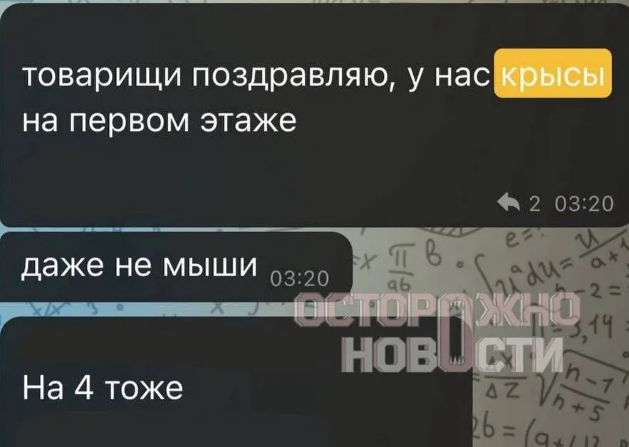 Студенты ВГИКа сообщают о появлении крыс в общежитии на улице Бориса Галушкина, 7 и предупреждениях руководства об отчислении за жалобы.
