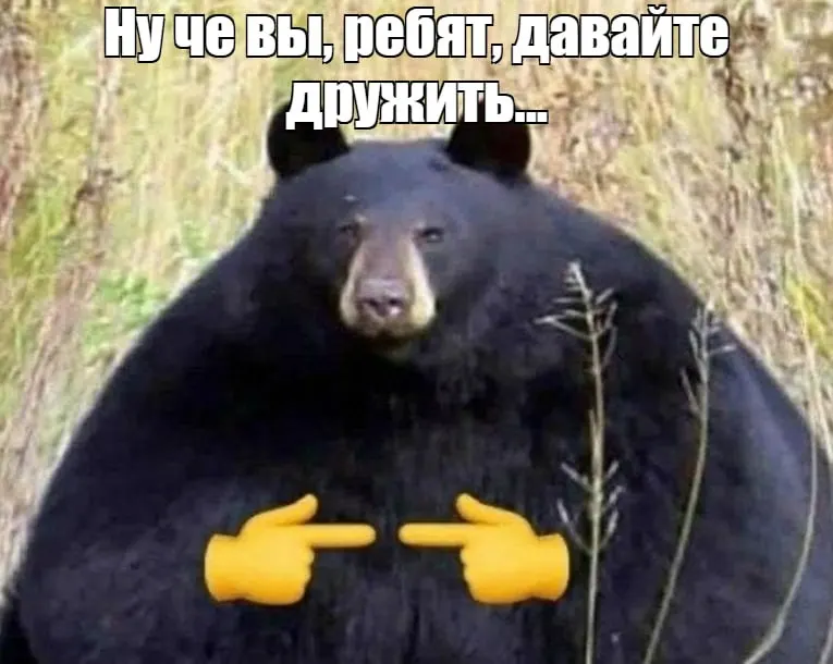 Бурые медведи выходят к людям в городские районы Кузбасса в поисках пищи; власти объясняют причины роста активности и отмечают, что полное уничтожение не является решением.