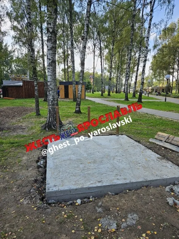 В солнечный день в одном из городских парков Ярославля пострадал ребёнок; проводится внутренняя проверка обстоятельств инцидента.