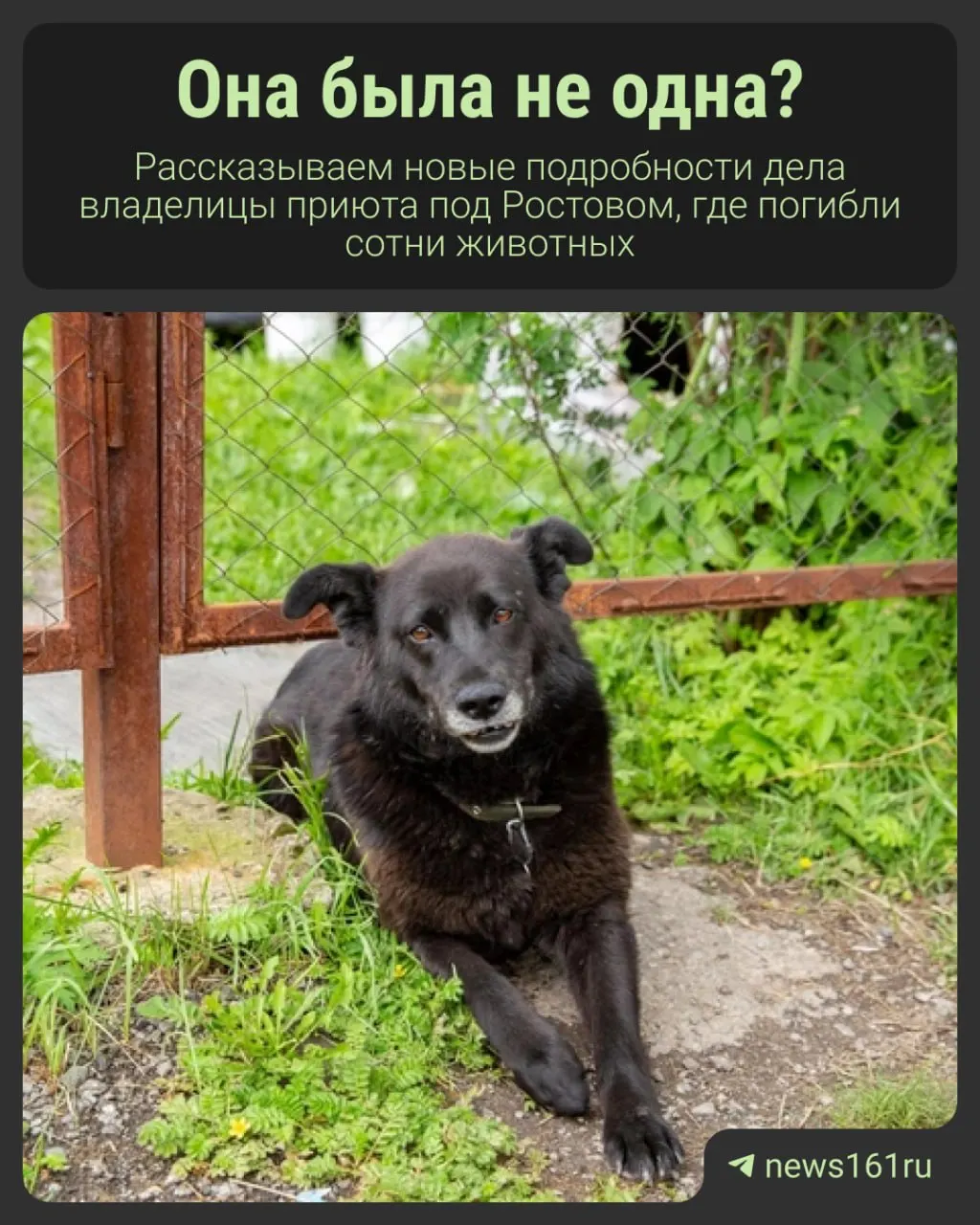 Экспертиза зафиксировала вероятность психического расстройства обвиняемой; суд рассматривает вопрос о принудительном лечении. Защита указывает на возможных неучастников и спорное число пострадавших.