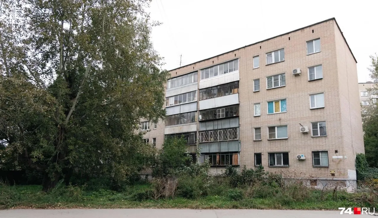 Дело возбудили после уборки двора — речь идет об обрезке кустов сирени близ жилого дома. Правоохранители оценивают ущерб в 11,1 тыс. руб., а эксперты спорят о правомерности действий и последствиях.