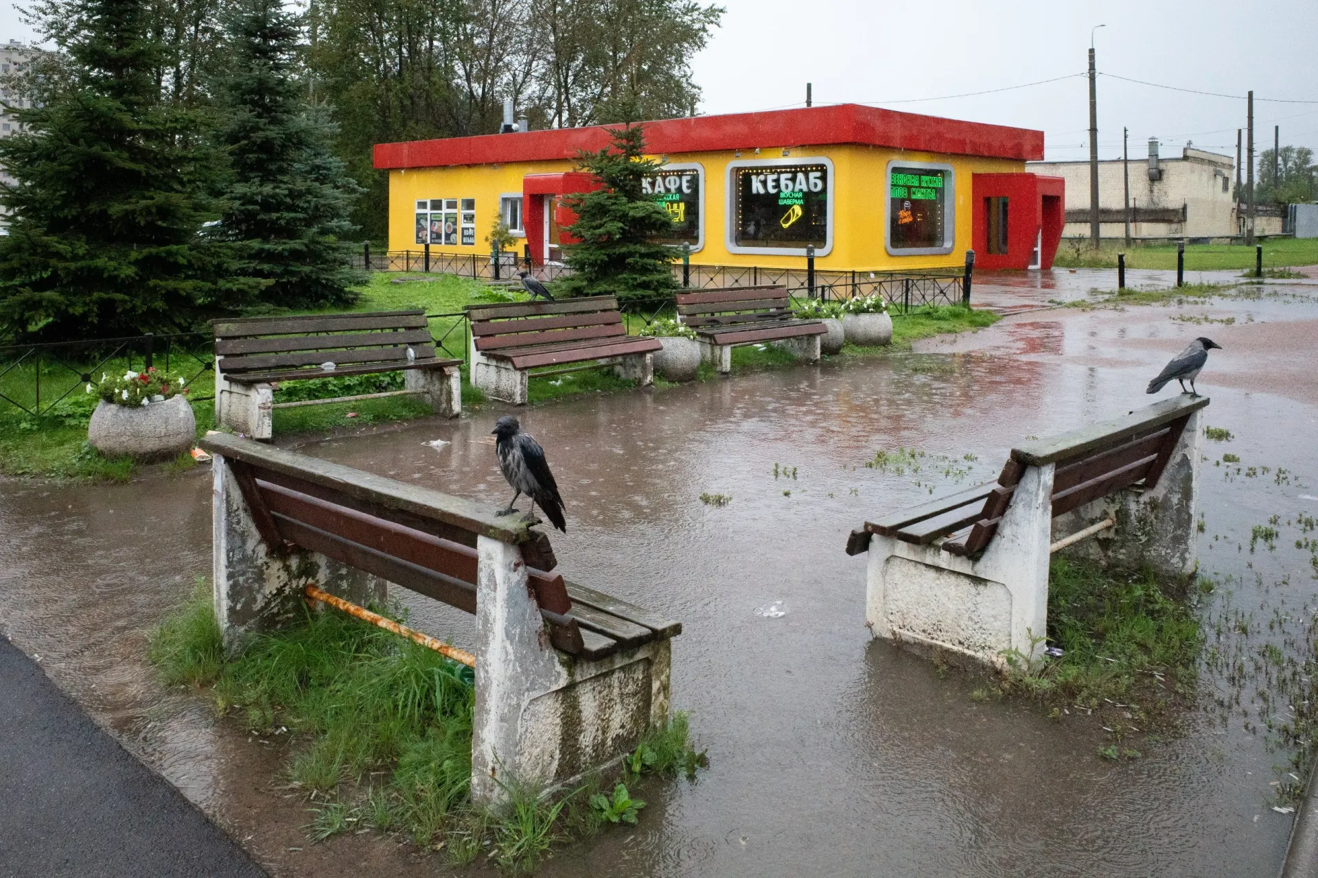 Короткая подборка новостей о семейной жизни в Санкт-Петербурге, политических дискуссиях в стране и важных событиях за пределами России.
