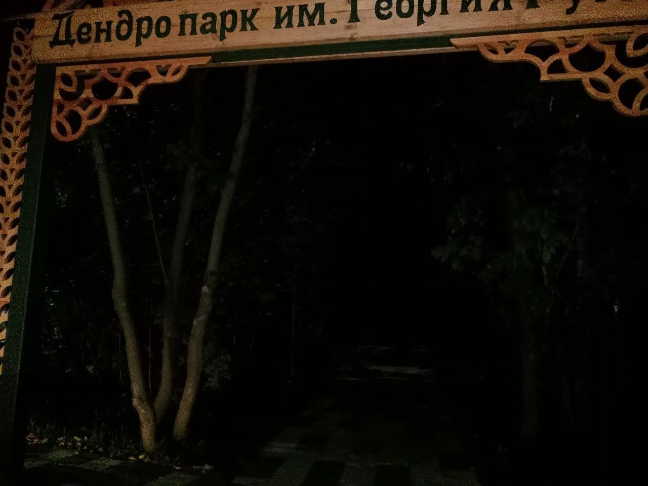 Фонари дендропарка не работают после завершения работ: подрядчик не передал освещение на баланс города, что мешает включению.