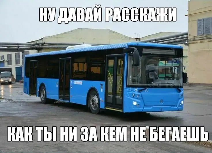 В нескольких муниципалитетах региона автобусы не вышли на линии из-за нехватки топлива; власти обещают разъяснения и планы по восстановлению перевозок.