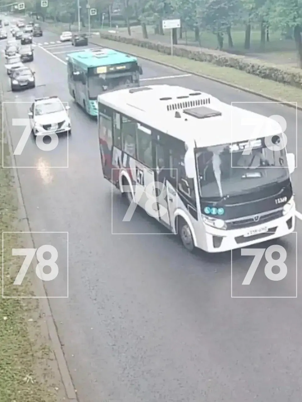 Группа прохожих и водитель автобуса спасли котёнка, который оказался на оживлённой дороге; позже ему окажут помощь и найдут новый дом.