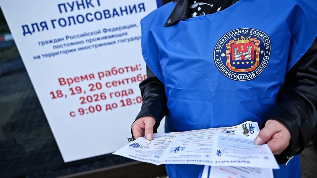 По данным Центризбиркома, на пограничных участках приняли участие 1 803 россиянина; всего на границе проголосовали 5 268 граждан России, проживающих за рубежом. Избирательные пункты работали в Калининградской, Ленинградской и Псковской областях.