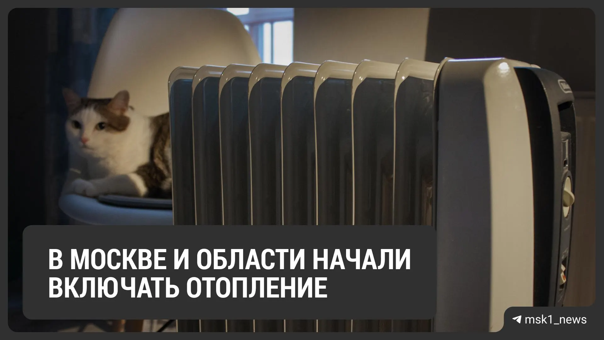 Местные власти сообщили о начале подачи тепла в части жилых домов, жители обсуждают изменения и задаются вопросами о наличии отопления.