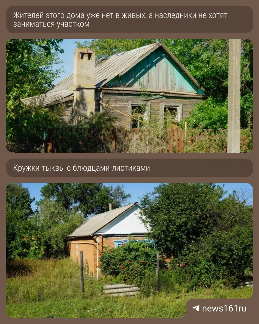 В донском поселке Малый Лог идёт уборка подсолнечника: школа закрыта, дома пустуют, а цены на урожай падают по сравнению с прошлым годом.
