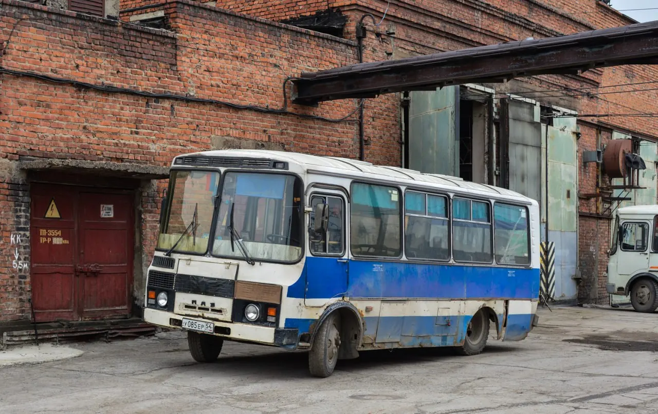 В регионе на маршрутах работают около 906 устаревших автобусов ПАЗ-3205 и их модификаций — самый высокий показатель по стране.