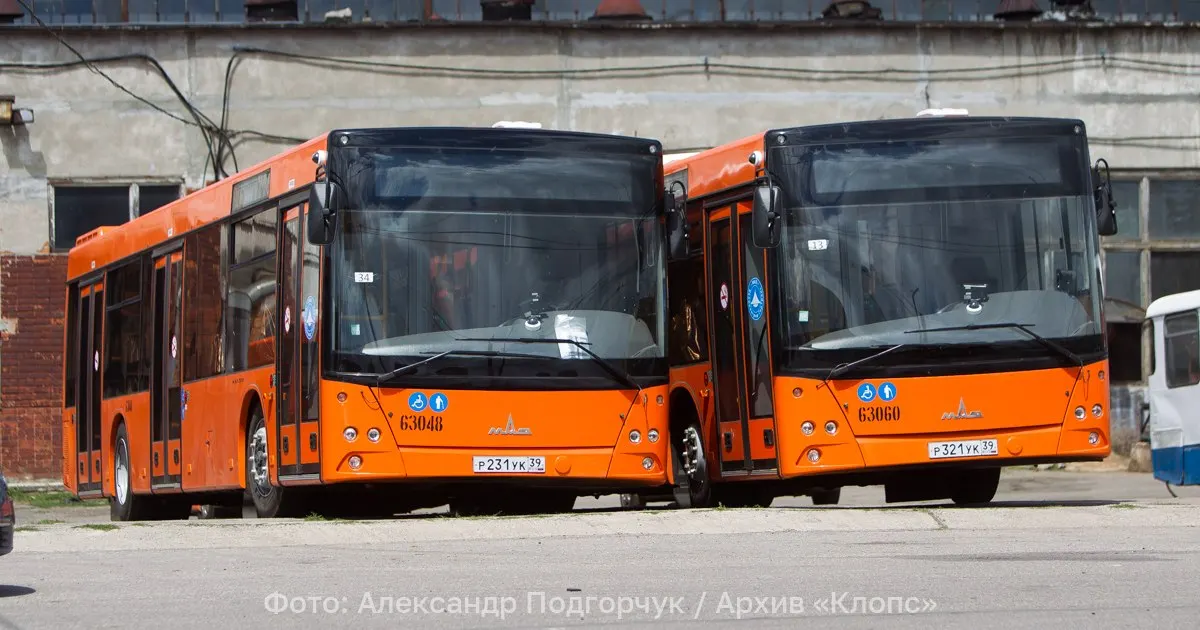 Из-за происшествия на кольцевой развязке автобусы №11 и №15 следуют по временной схеме объезда через Благовещенскую, Суздальскую и Московский проспект.