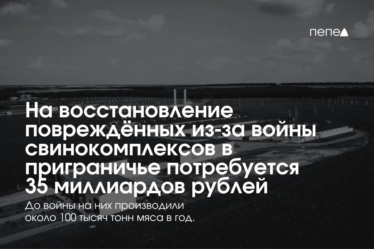 Из-за обстрелов и атак беспилотников в приграничных регионах российской свиноводческой отрасли планируется вложиться в безопасность и ремонт инфраструктуры; часть ферм уже была закрыта.