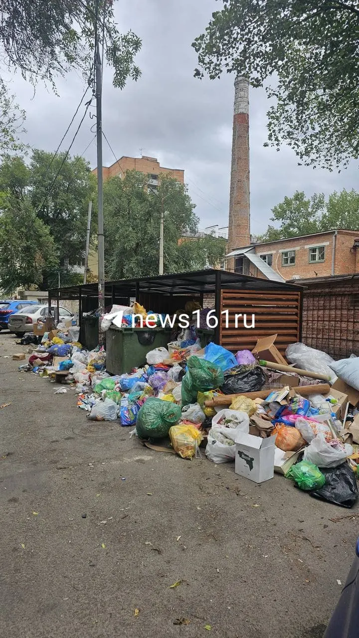 Жители района Комсомольской площади сообщают о нерегулярной вывозке мусора: баки переполнены, отходы лежат вокруг, на территории завелись крысы и тараканы.