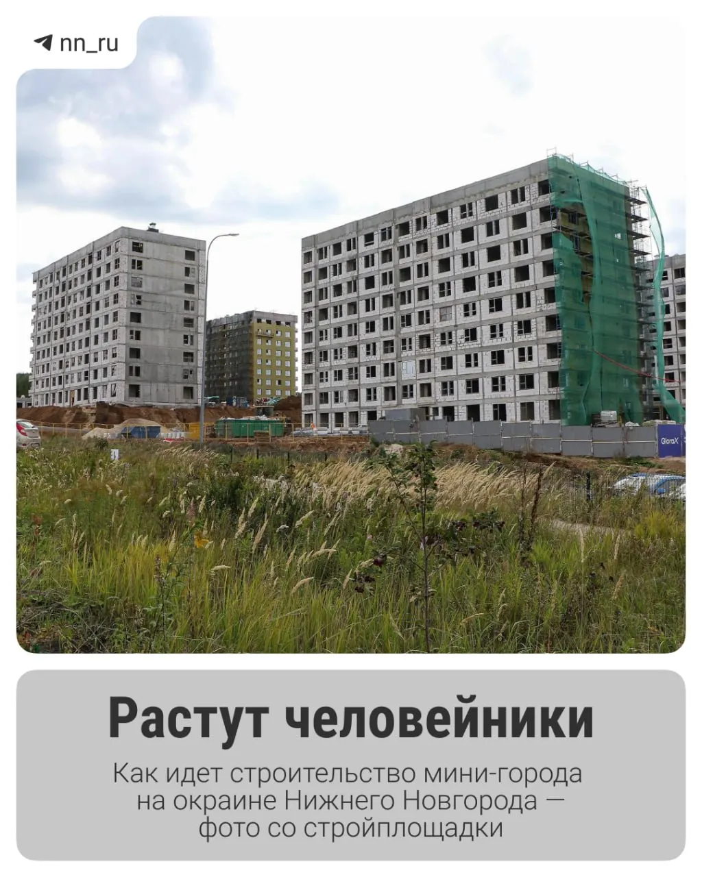 Планируется возведение десятков домов, школ и детсадов вблизи Новинок и Ольгино; часть работ уже началась.
