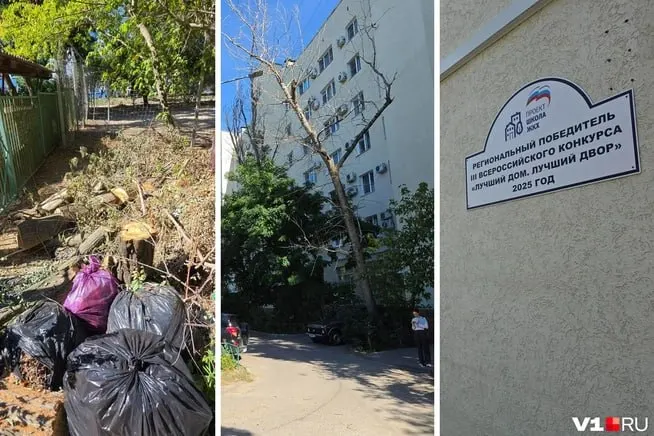 Во дворе многоквартирного дома обнаружено крупное сухое дерево над детской площадкой, груды веток и строительного мусора. Жители обвиняют управляющую компанию в бездействии и требуют устранить опасную ситуацию.
