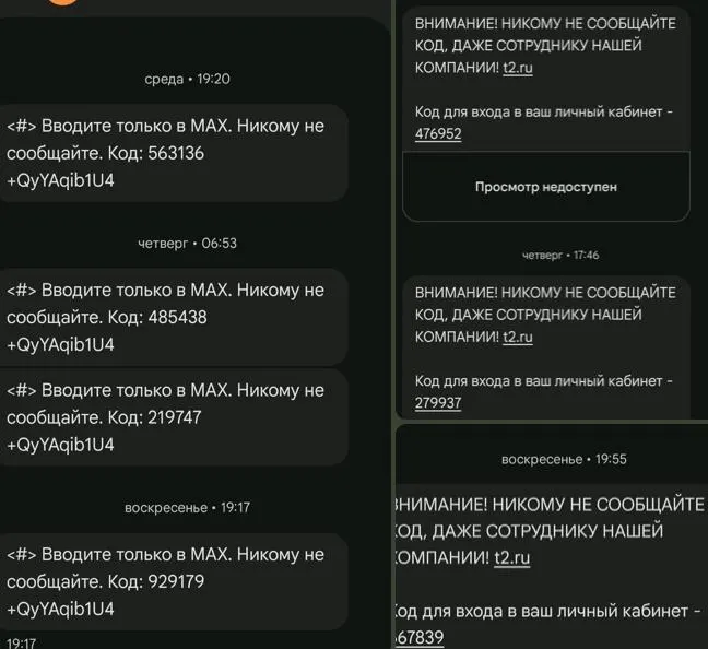 Региональные отделения партий сообщают о повторяющихся попытках доступа к аккаунтам кандидатов в Госдуму, в том числе к Анастасии Кизюковой, а также о попытках создания учетной записи в госмессенджере.