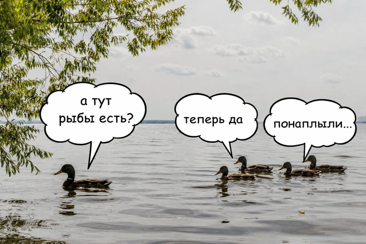 Более 200 тысяч мальков сазана выпустили в Шершневское водохранилище. Мероприятие направлено на защиту экологии и обеспечение водоснабжения региона.