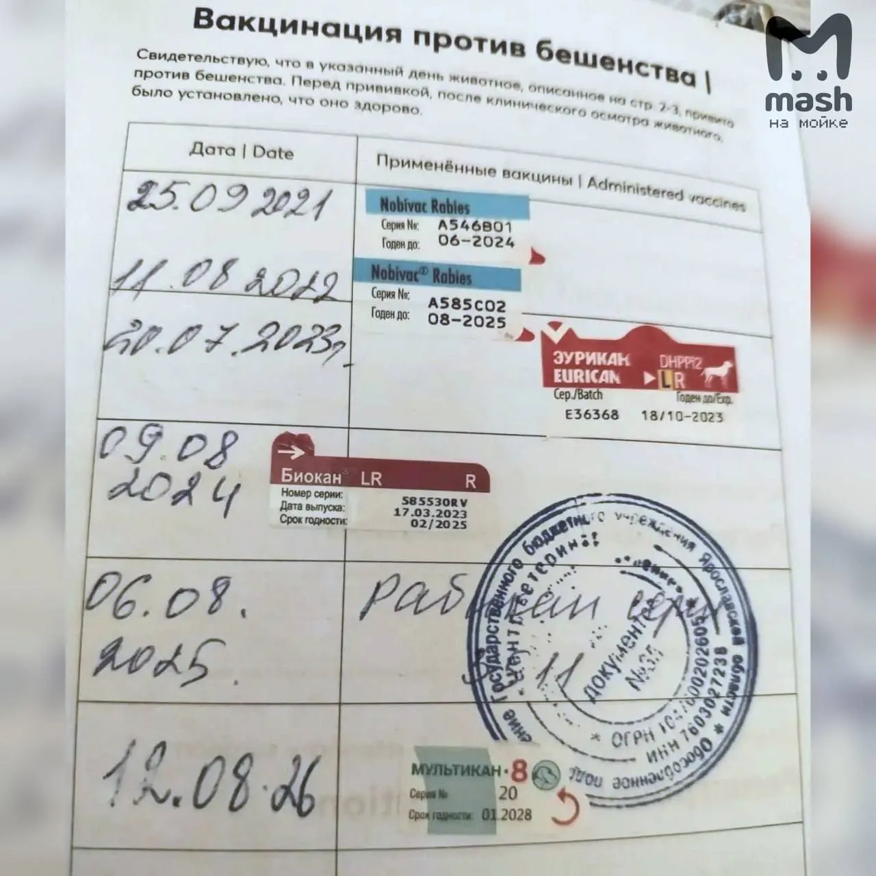 После вакцинации домашних животных в регионе зафиксированы трагические случаи и начаты проверки партий вакцины и производственных процессов.