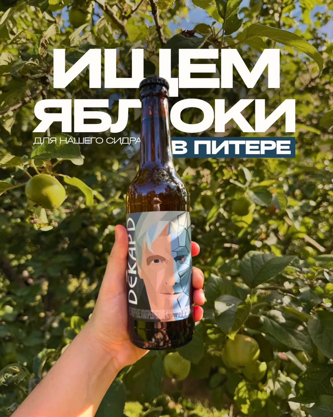 Приглашение принять участие в сборе яблок в Санкт-Петербурге: какие данные указать и как подготовиться.