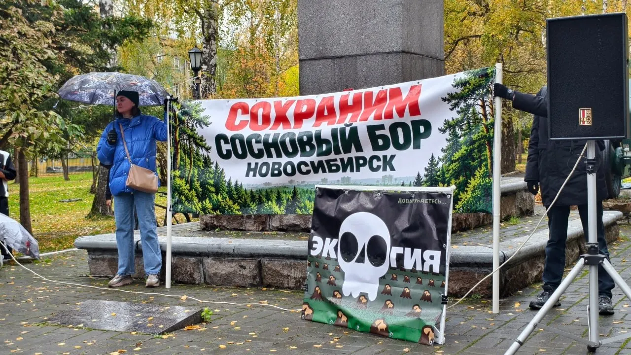 Проверка выявила отсутствие разрешительных документов и нарушение порядка на территории городских лесов; жители требуют остановить работы и привлечь виновных к ответственности.