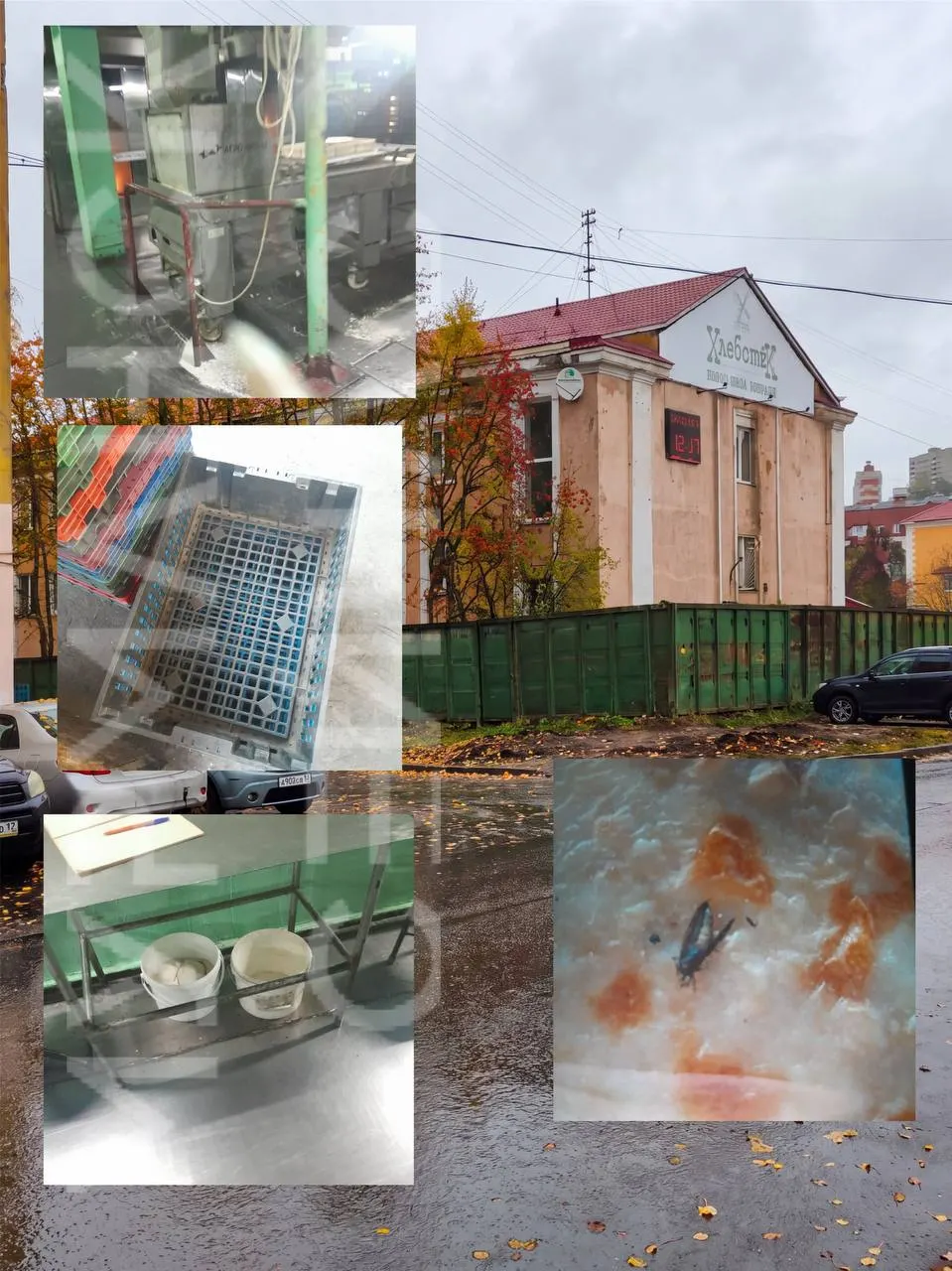 Работники мурманского хлебозавода жалуются на задержку выплат: зарплата, отпускные и больничные приходят не регулярно, а ситуация сопровождается вопросами по условиям труда и документации.