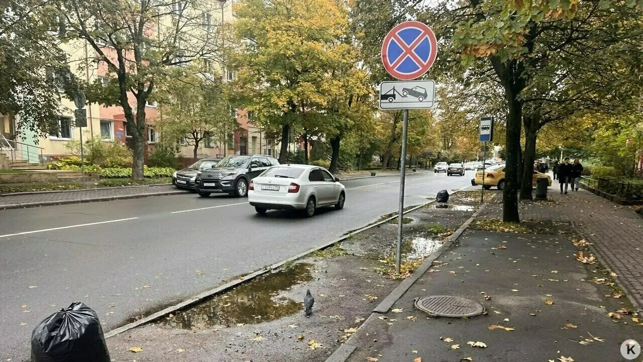 Городские власти перераспределяют парковочные места, чтобы увеличить пешеходные зоны и пространства для велосипедистов; это затрагивает улицы Яналова и Карла Маркса.