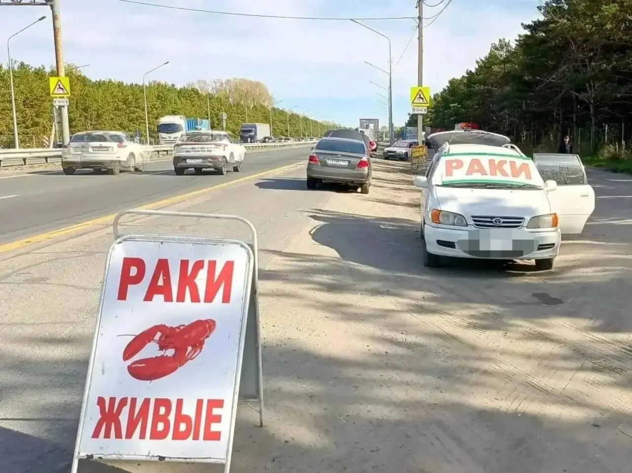 Власти Барнаула усиливают контроль над стихийной торговлей на въезде в город: проводятся рейды, вводятся штрафы и расширяется сотрудничество с полицией.