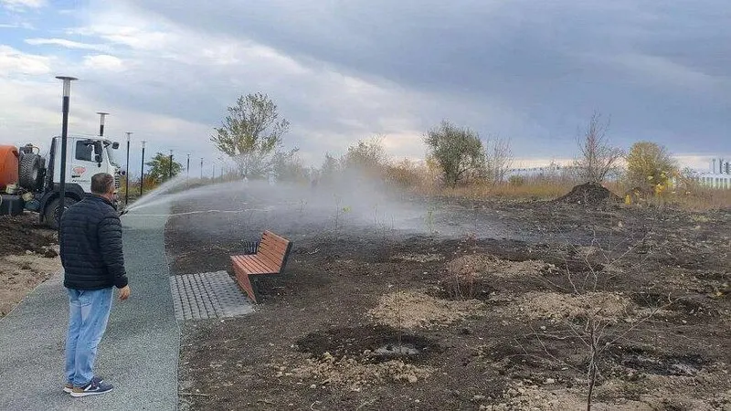 В Саратове в парке «Соловьиная роща» посажено свыше 500 растений в рамках благоустройства города.