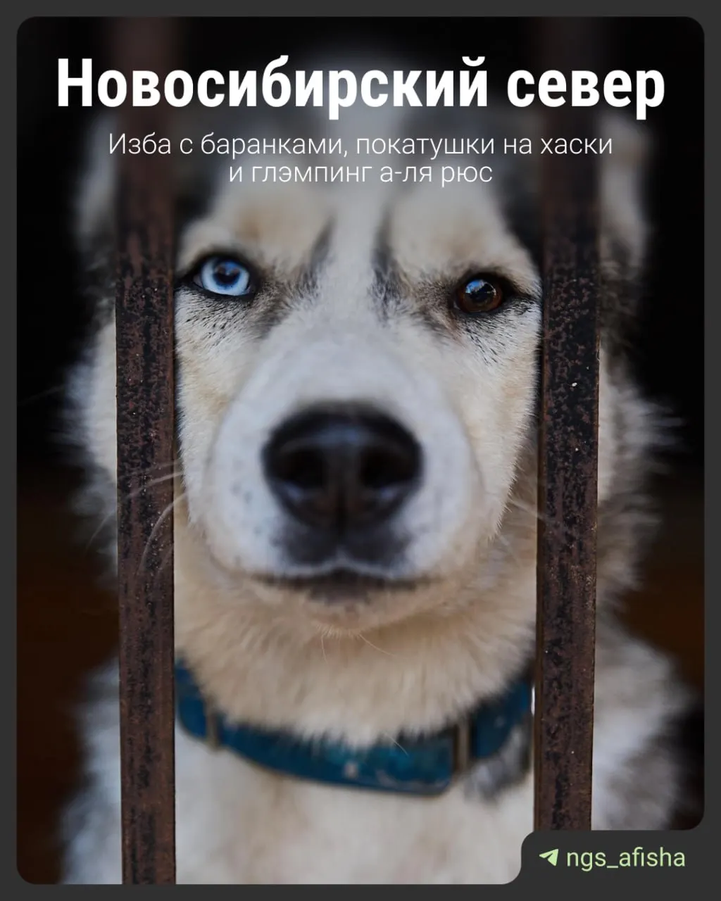 Мы отправились проверить семь туристических маршрутов неподалёку от Новосибирска и поделиться лучшими точками для уикенда.