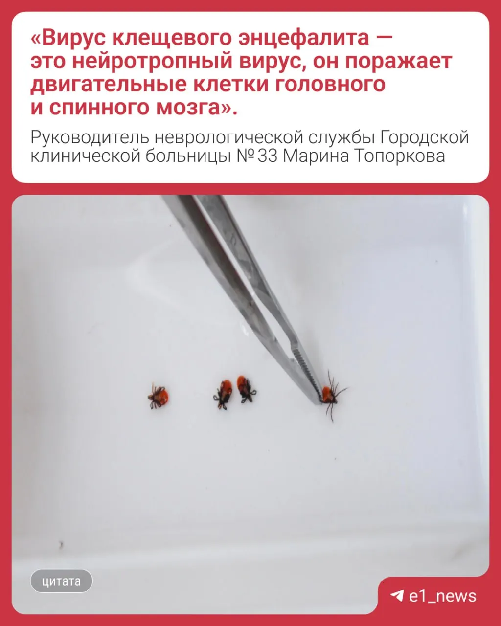 Среди погибших — жители Екатеринбурга; возраст погибших 39 и 87 лет. Все четверо не прививались от клещевого энцефалита.