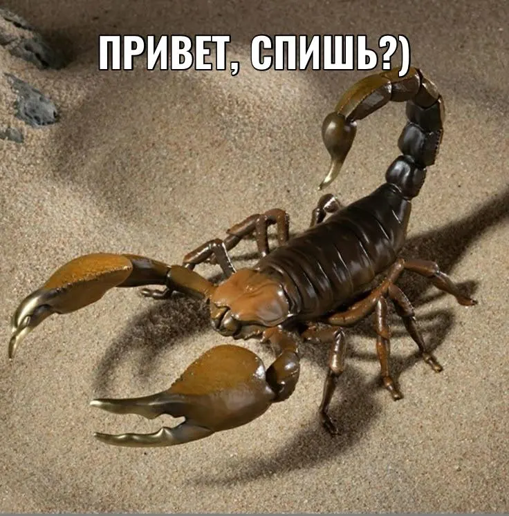 Пострадавшую доставили в токсикологическое отделение; обследование не выявило интоксикацию, спустя несколько часов она была выписана.