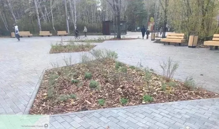 Власти сообщили, что подрядчик устраняет недочеты, работы пока не приняты и не оплачены; весной проведут обследование высадки, при гибели растений заменят по гарантии.