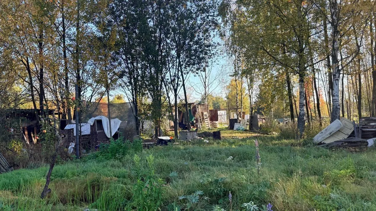 Демонтаж начнется 26 октября. Земля городская; ранее участки передавались кооперативу «Пулково‑2» без закрепления бессрочного права пользования; проект кампуса МВД требует освобождения территорий.