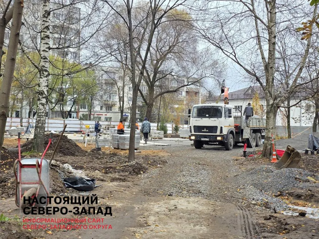 Муниципальные планы реконструкции сквера вызвали возмущение жильцов из-за вырубки деревьев и отсутствия прозрачного проекта.