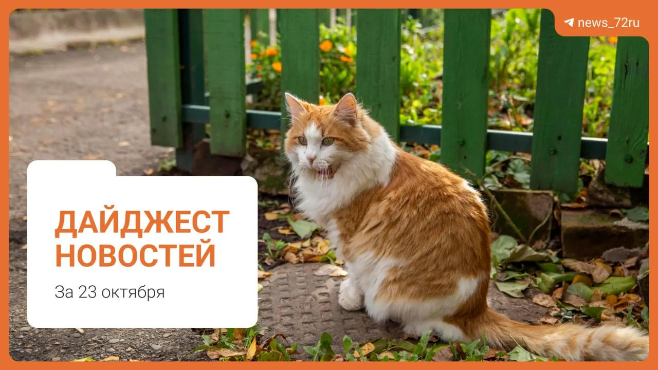 Дайджест городских событий: жалобы на воду, новые платежки за ЖКУ, блокировки и преступления в регионе.