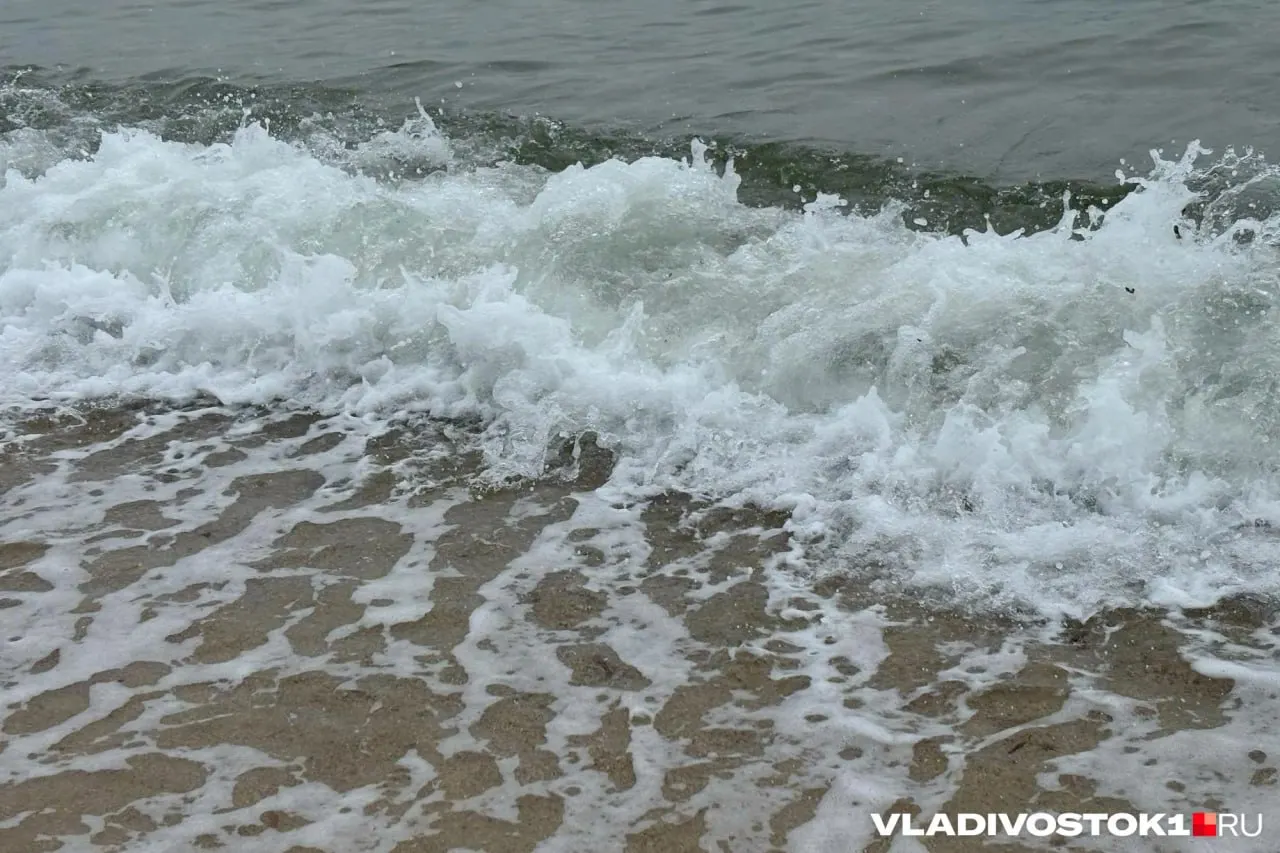 За купальный сезон на воде зафиксировано 82 происшествия; основными причинами стали купание в алкогольном опьянении и оставление детей без присмотра. В прошлом году зафиксировано 109 случаев.