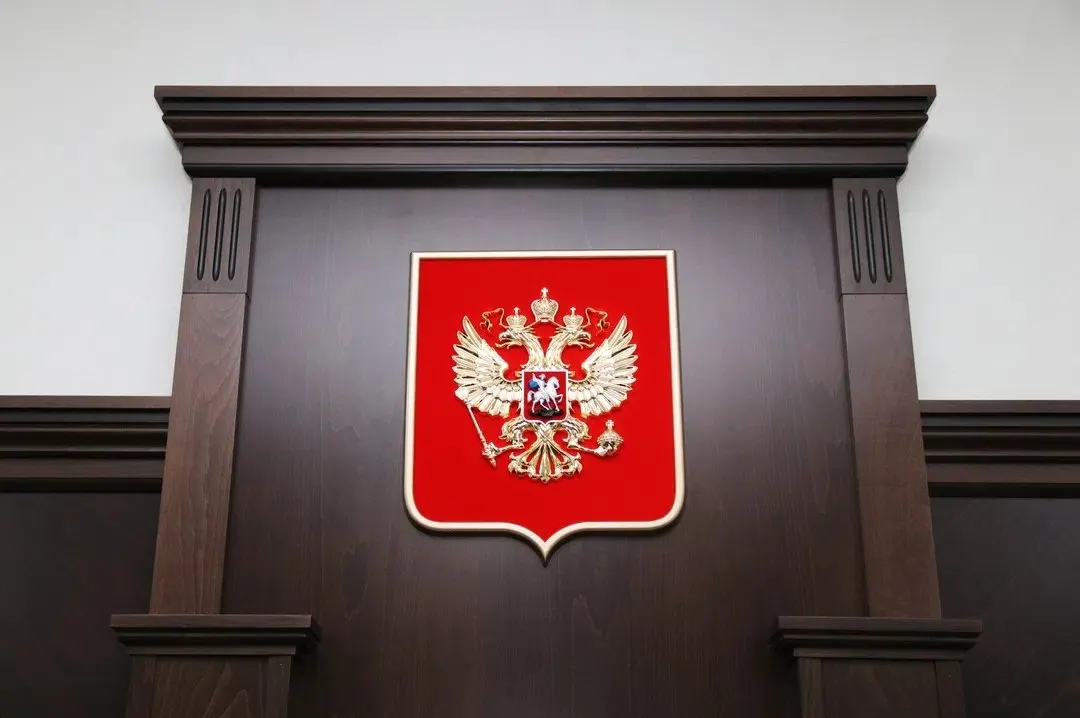 Рязанская областная дума приняла решение о назначении нового судьи для Скопинского округа.
