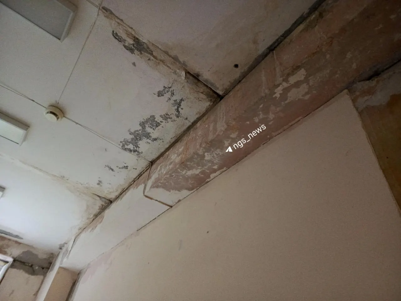 После протечки крыши в акушерском корпусе на Пирогова, 25 завершаются косметические работы; медучреждение уверяет, что ситуация не несет угрозы эпидемиологической ситуации.