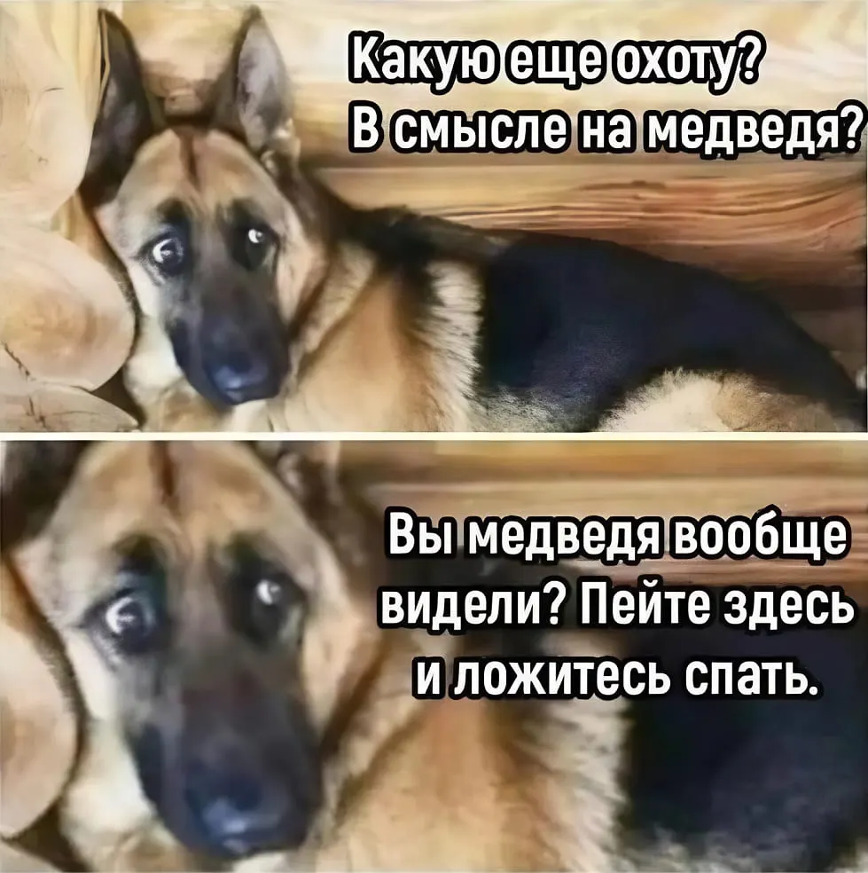 Региональное ведомство призывает охотников соблюдать правила выдачи лицензий и предупреждает о последствиях бойкота закона, затрагивающего жителей тайги и любителей природы.