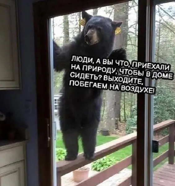 Жителям настоятельно рекомендуют убрать урожай и отходы, не выходить в лес и не разводить огонь, чтобы не привлекать зверей.