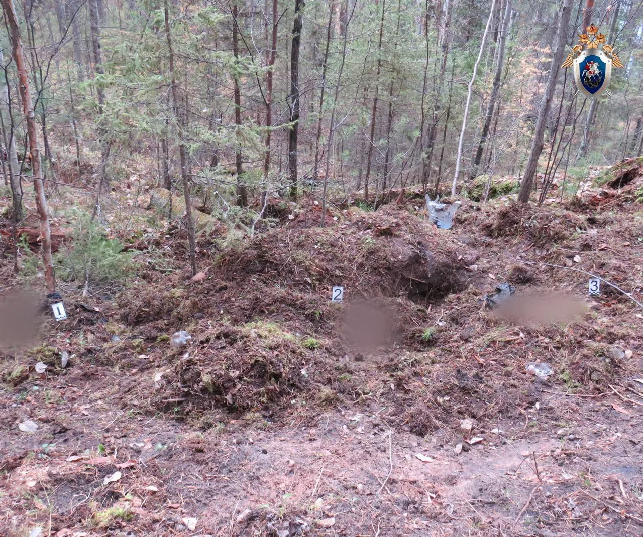 Два мужчины погибли в Нижнеилимском районе после нападения медведя. Следственные органы проводят доследственную проверку, просят жителей избегать походов в лес во время активности диких зверей.