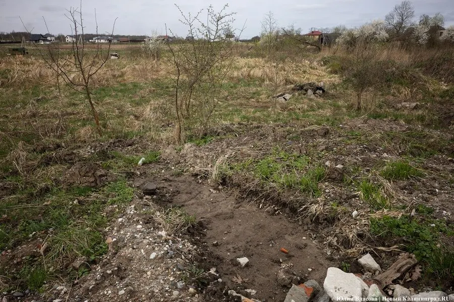 Прокуратура подала в суд 20 исков о возврате земельной собственности государству общей площадью 21,3 тыс. кв. м в береговой полосе рек Преголя, Гурьевка и Приморская. Часть участков уже находится во владении частных лиц, продолжается проверка законности.