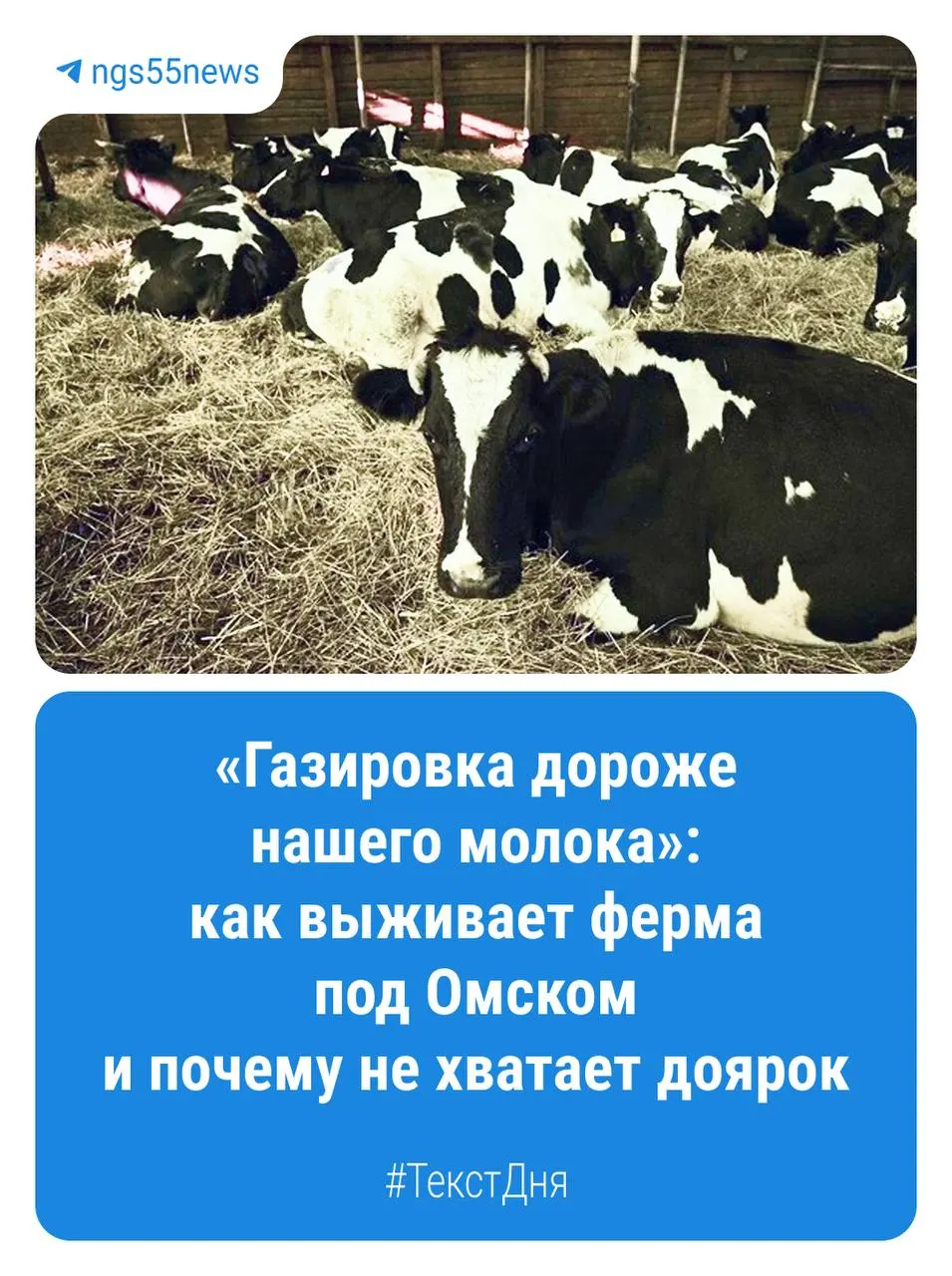 В регионе действует множество крестьянско-фермерских хозяйств, преимущественно в растениеводстве; животноводство представлено ограниченно, но отрасль продолжает модернизироваться.