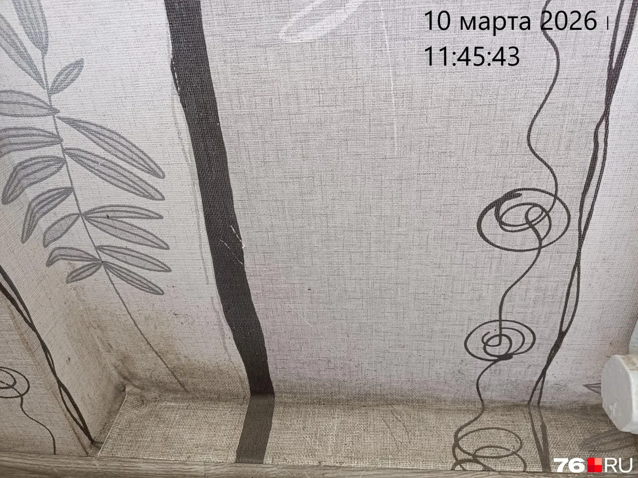 Жители ярославского дома сообщают о влажности в квартирах и распространении плесени, особенно на нижних этажах из-за уклона местности.