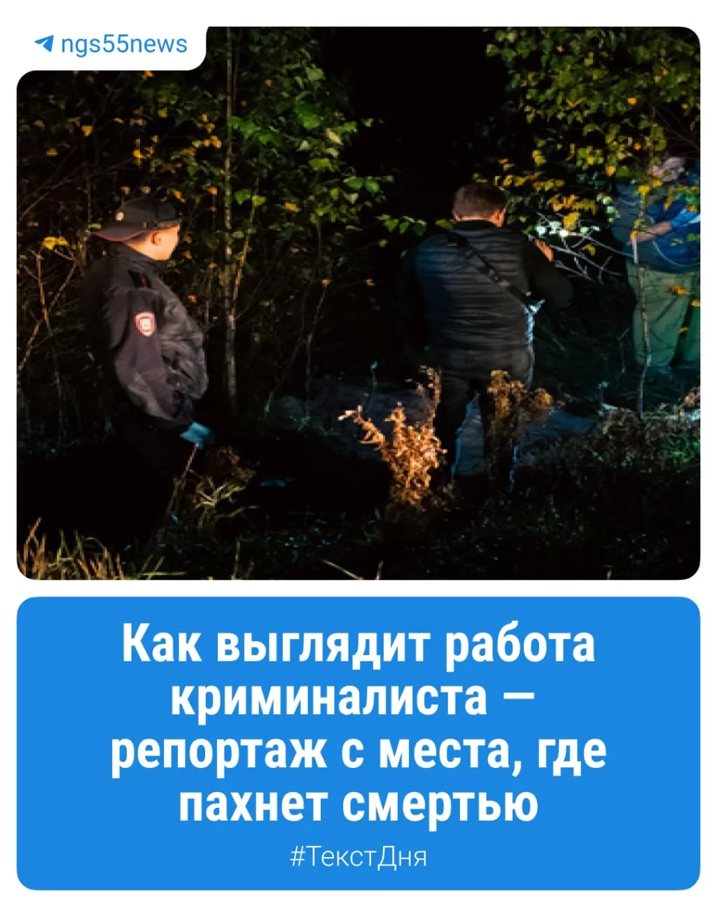 Ночные смены оперативной группы: как расследование разворачивается в тишине города и в окрестностях леса.