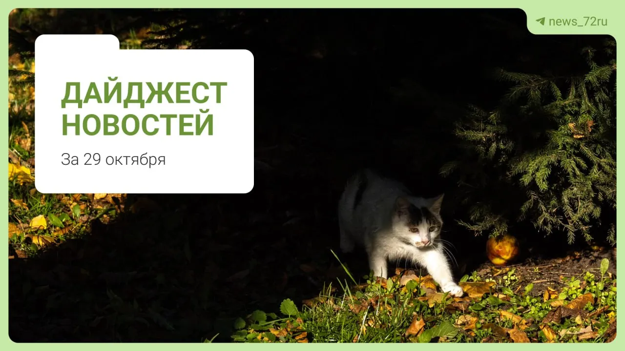 Сводка главных событий: борьба с запахом воды, ремонты школ после пожаров, дефицит учителей, качество питания, открытие памятника репрессированным и другие новости.
