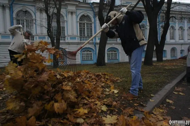 Более 200 тысяч петербуржцев и городские службы привели в порядок городские территории, высадив деревья и кустарники, и вывезли значительные объёмы мусора.