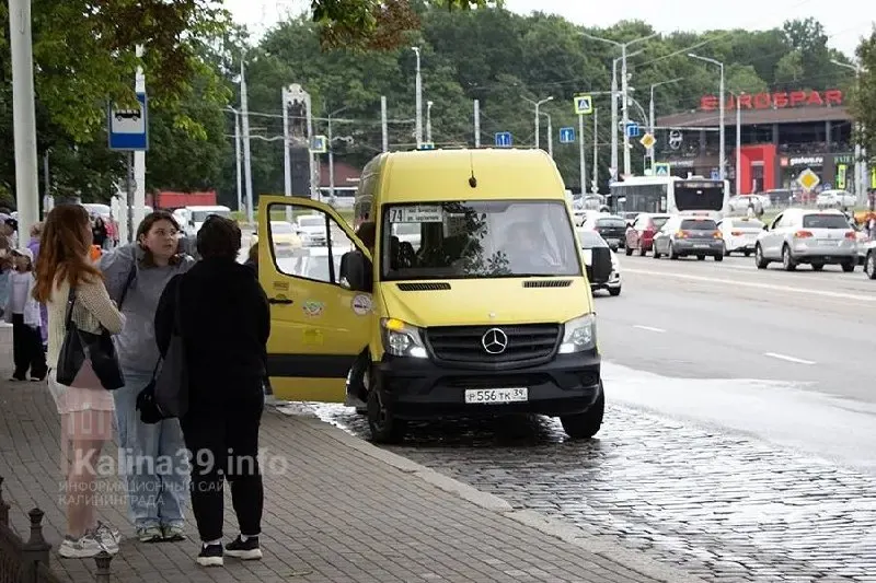 В городе Калининграде на линии выходит лишь часть парка: вместо запланированных десяти машин — три–четыре, водители уходят к муниципальным перевозчикам, интервалы растут.