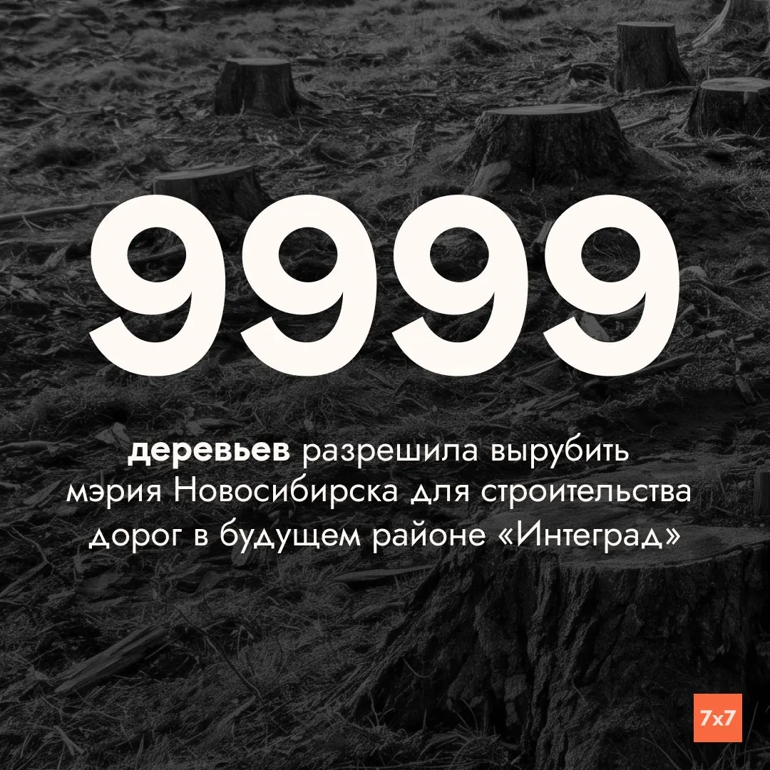 Тендер на расчистку территории под будущий район Интеград между Академгородком и наукоградом Кольцово завершился без заявок на первых торгах, власти продолжают продвижение проекта.